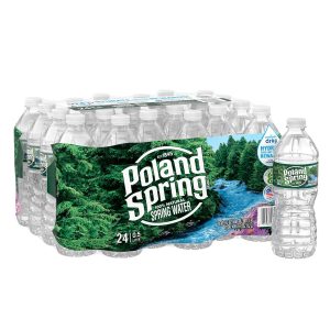Poland Spring 100% Natural Spring Water - 24pk/16.9 fl oz Bottles