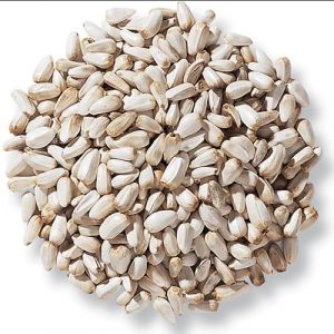 Seeds