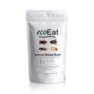 ecoEat Edible Insects Special Mixed Bugs (Giant Waterbugs, Diving Beetles, Big Crickets, Sago Worms) - 32g Package