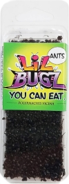 Ants Lil Bugz Edible Insects