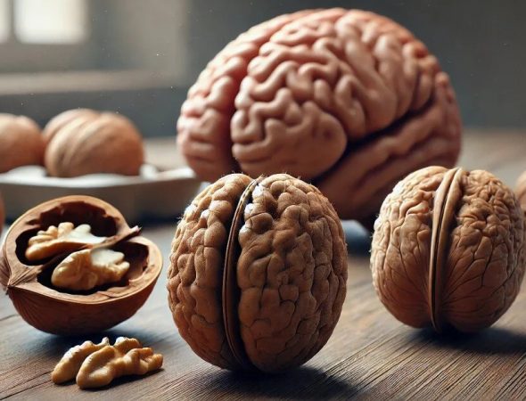 walnutsbrainboost-ezgif.com-webp-to-jpg-converter